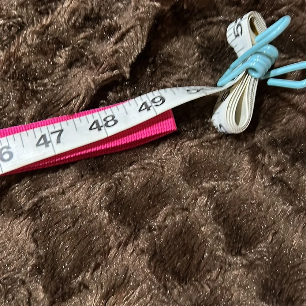 BOGO Pet Harness and Leash